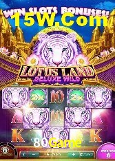 Casino VIP 80Game